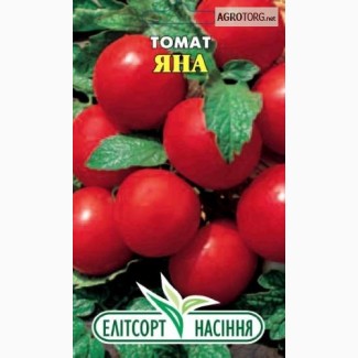 Семена томат Яна