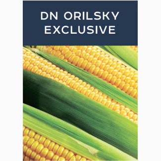 Продаем семена кукурузы DN ORILSKY EXCLUSIVE, производитель Евросем