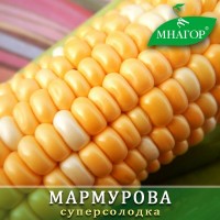 Солодка кукурудза середньостигла Мармурова F1, биколор, Мнагор Sh2, 24% цукрів