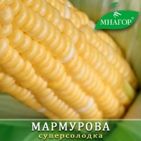 Солодка кукурудза середньостигла Мармурова F1, биколор, Мнагор Sh2, 24% цукрів