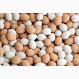 Покупаем яйца, яичный порошок для экспорта по Украине