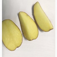 Продам картофель, сорт редскарлетт, Днепр