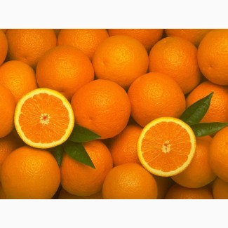 Апельсины. Продажа цитрусовых оптом в Запорожье