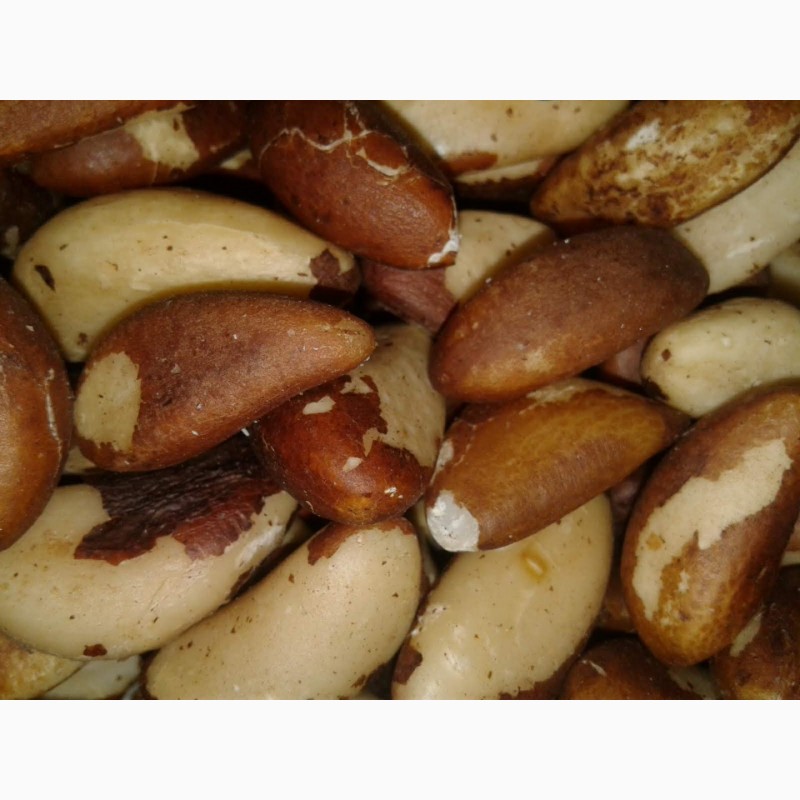 Фото 6. Орехи: бразильский, макадамия, фундук, пекан миндаль, кешью, фисташки, Ассортимент орехов