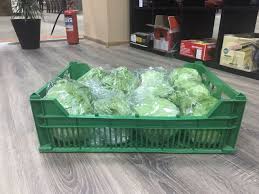 Продам оптом салат лола бионда айсберг стебель