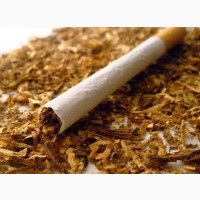 Табак отличного качества для гильз
