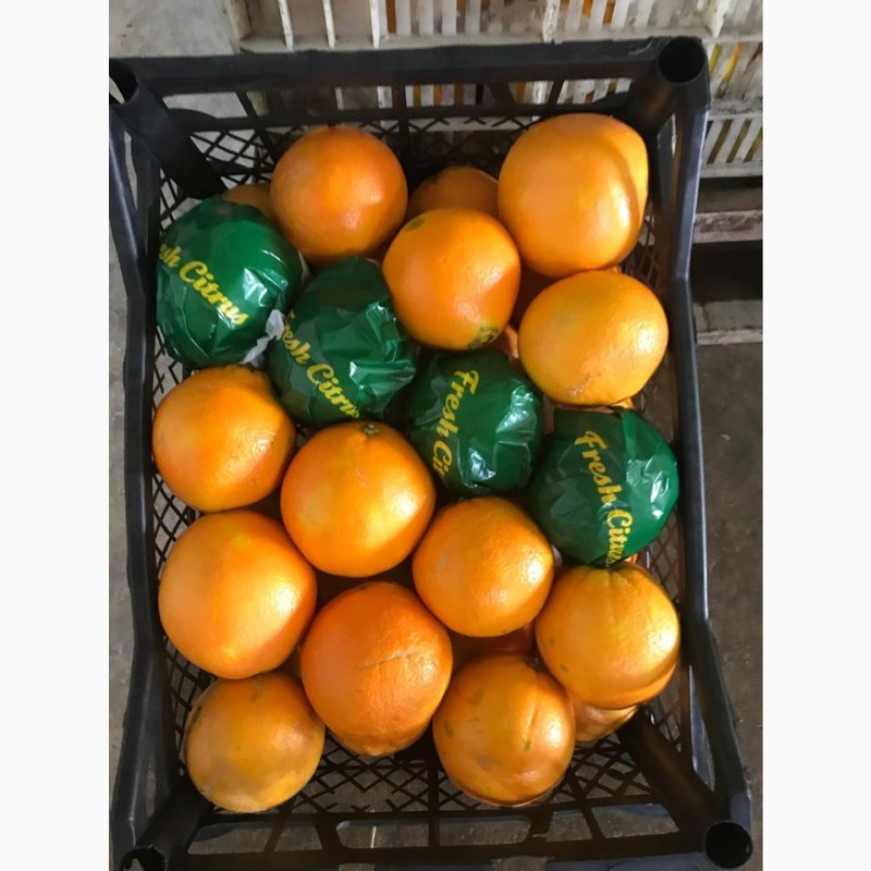 Фото 8. Оптовые апельсины