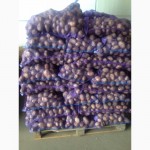 Продам оптом товарный картофель, урожай 2017