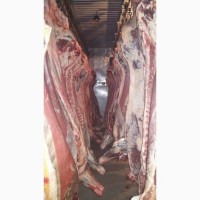 Фото 7. Продам говядину и говяжью блочку от производителя