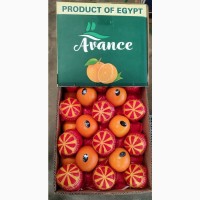 Качественный египетский летний апельсин