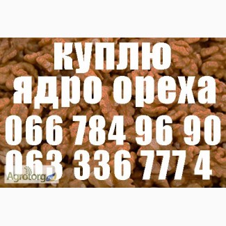 Ищем поставщиков ядра грецкого ореха