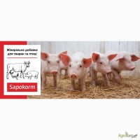 Сапокорм» - мінеральна добавка до корму свиней, тона 1 мм