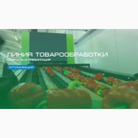 Гидропонные технологии. капельный полив. микрозелень