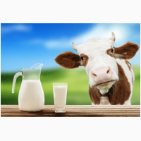 Сухое молоко заменитель цельного молока Лактивит