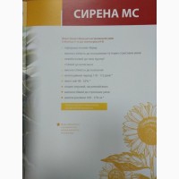 Насіння соняшника Сирена МС