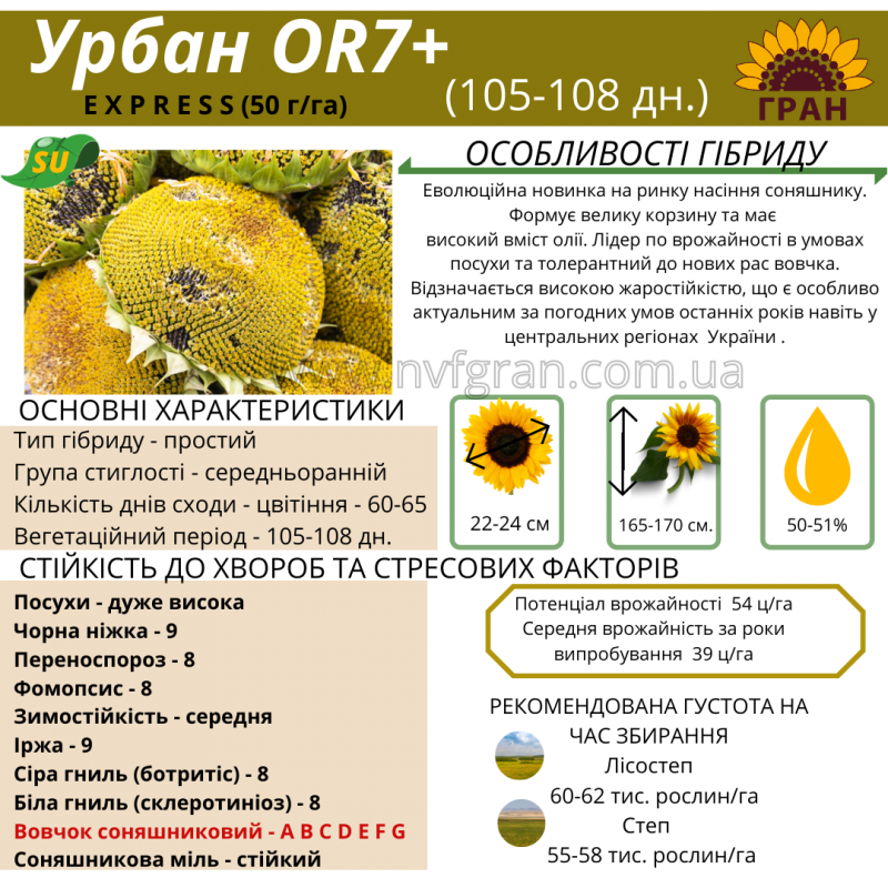 Фото 2. Купуй!!! Насіння соняшника та (або) кукурудзи Української селекції