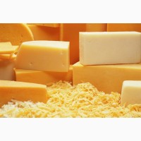 Предприятие на постоянной основе закупает твердые сорта сыров, сырный продукт