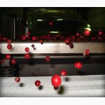 Фотосепараторы СортМаш VS - очистка и сортировка ягод, зерновых и полимеров