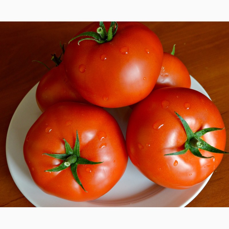 Фото 2. Продам помидоры оптом, оптом помидоры, томаты тепличные, купить оптом помидоры