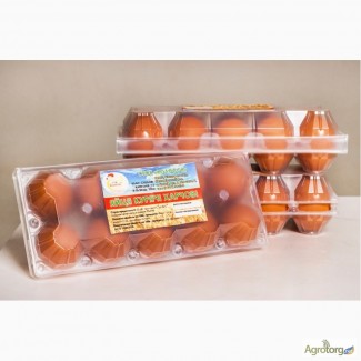 Продаем яйцо куриное от производителя СТОВ Колосок