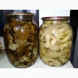 Продам грибы маринованные: белые, маслята, опята