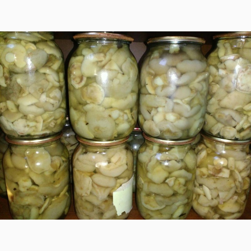 Фото 4. Продам грибы маринованные: белые, маслята, опята