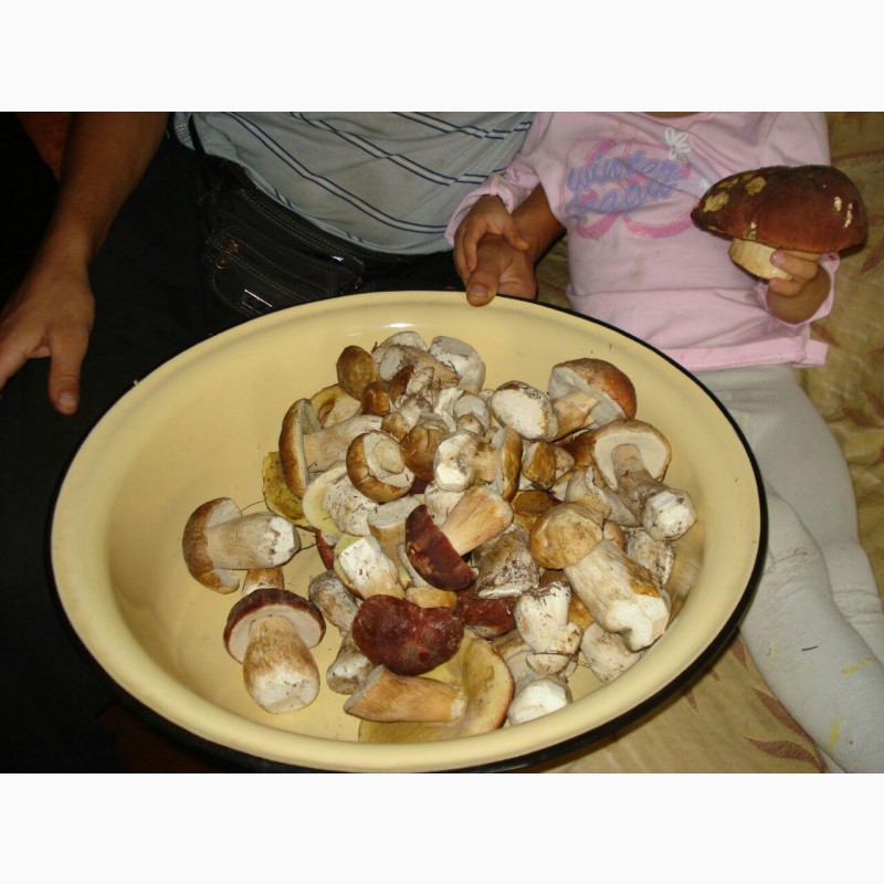 Фото 5. Продам грибы маринованные: белые, маслята, опята