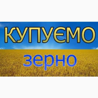 Купуємо зернові та олійні культури (мін. 22 т)