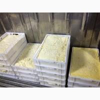 Продам кальяту (сырное зерно)