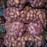 Фото 5. Продам ВІДБІРНУ картоплю Тірас