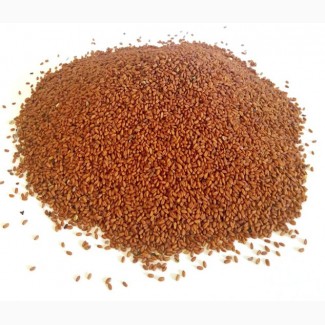 Рыжей семена, фасовка от 100 грамм - 1 кг