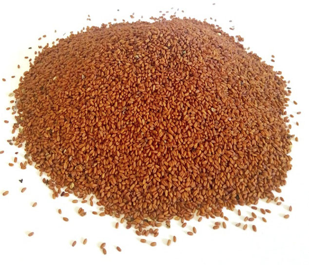 Рыжей семена, фасовка от 100 грамм - 1 кг