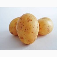 Фермерська картопля за привабливою ціною