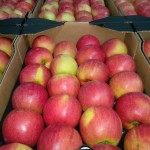 Яблоки из Польши производитель польская компания Mr Apple