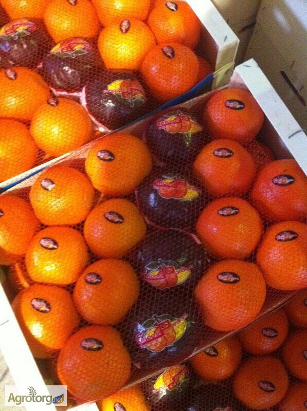 Фото 3. Продаем апельсины