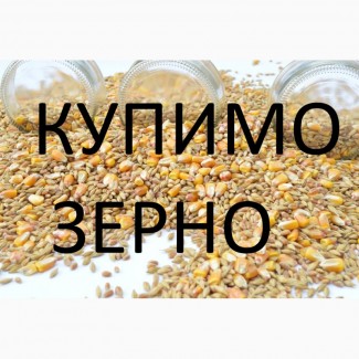 Дорого купим кукурудзу по Закарпатській області, яка не відповідає показникам ДСТУ