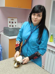 Ветеринарные услуги. Клиника ЗооДоктор, Харьков