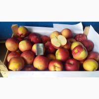 Продам яблоки крымские