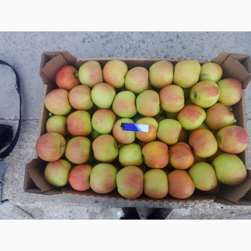 Фото 4. Продам яблоки крымские