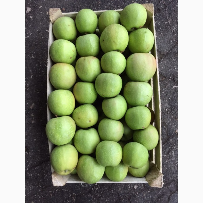 Фото 5. Продам яблоки крымские