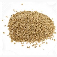 Пшеница натуральная