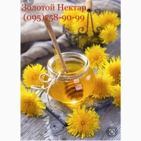 Закупаем оптом мед в Кировоградской и Николаевской обл