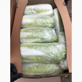 Продам пекинскую капусту