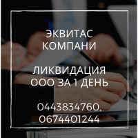 Експрес-ліквідація ТОВ у Києві. Процедура ліквідації ТОВ за 1 день