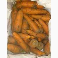 Продам моркву для столових потреб(нестандарт)