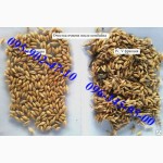 Продам сепаратор зерна (очистка / калибровка) IСМ-5