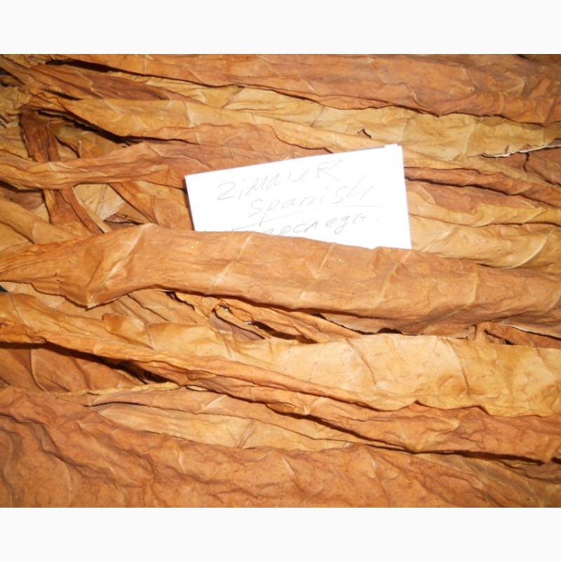 Фото 4. Семена табака и махорки - 150 сортов. (Насіння тютюну)