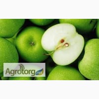 Завод закупает яблоки на переработку урожая 2016