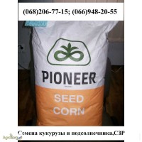 Семена кукурузы Монсанто ДК 315, G Host, Пионер
