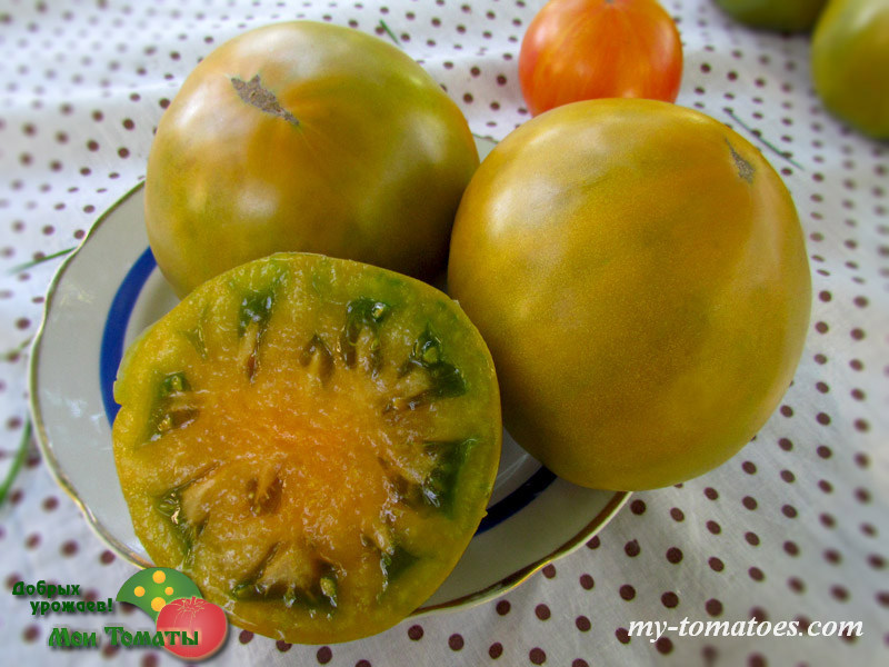 Фото 6. Семена лучших любительских и коллекционных сортов томата